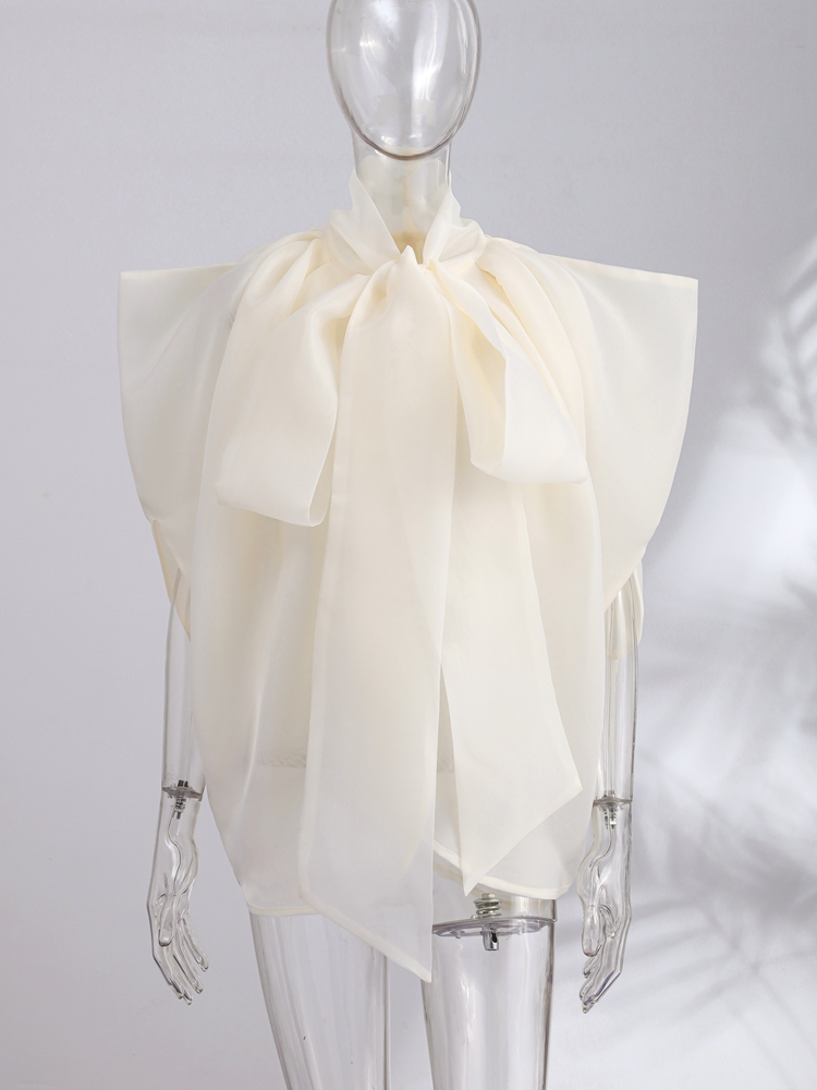 패션 여성 탑 민소매 리본 하이 칼라 튜닉 여성 조끼  - Wrap Blouse Chiffon 리뷰 및 가격